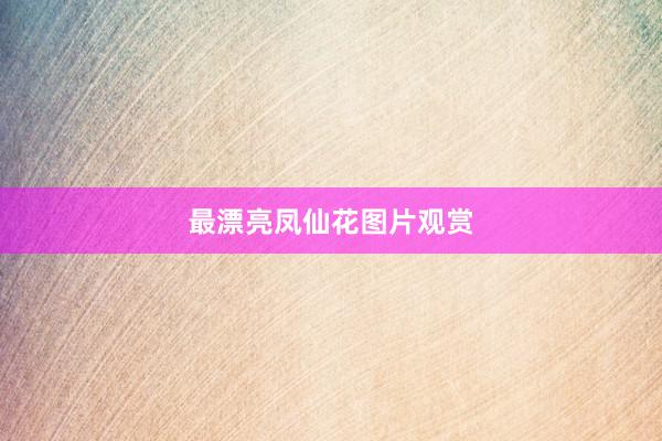 最漂亮凤仙花图片观赏
