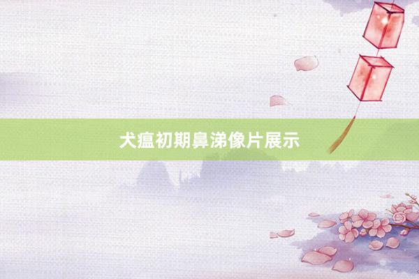 犬瘟初期鼻涕像片展示
