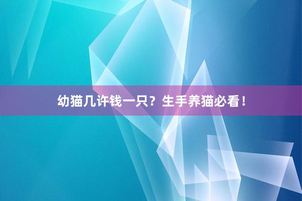 幼猫几许钱一只?生手养猫必看!
